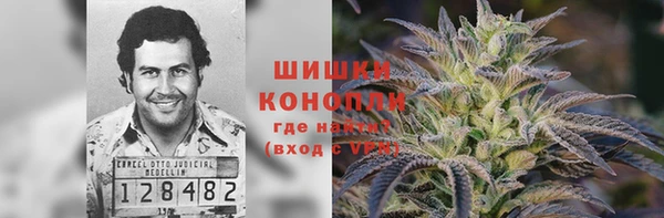 твердый Лиски