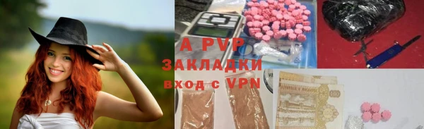 ECSTASY Липки